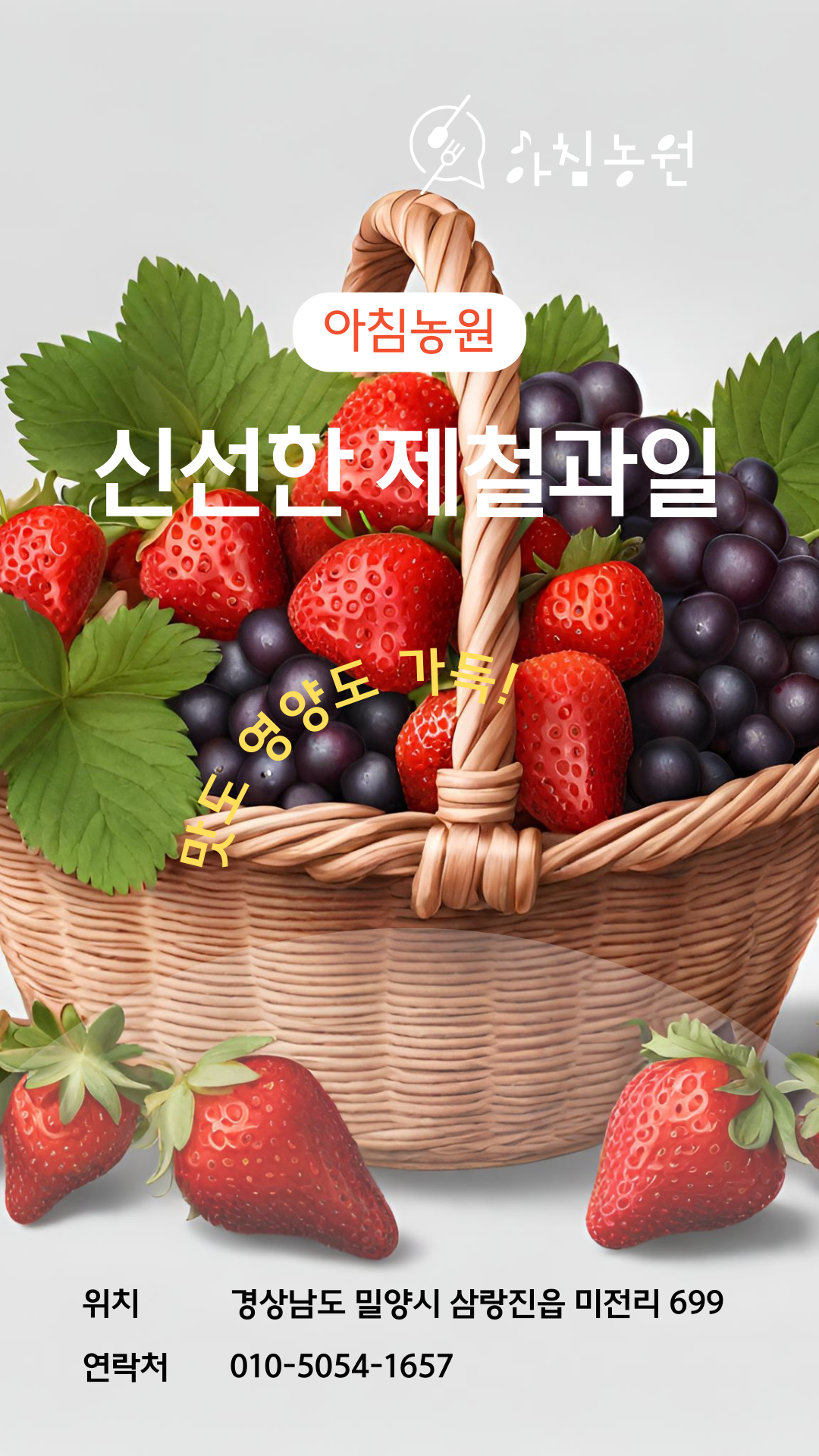 제철 과일 바구니